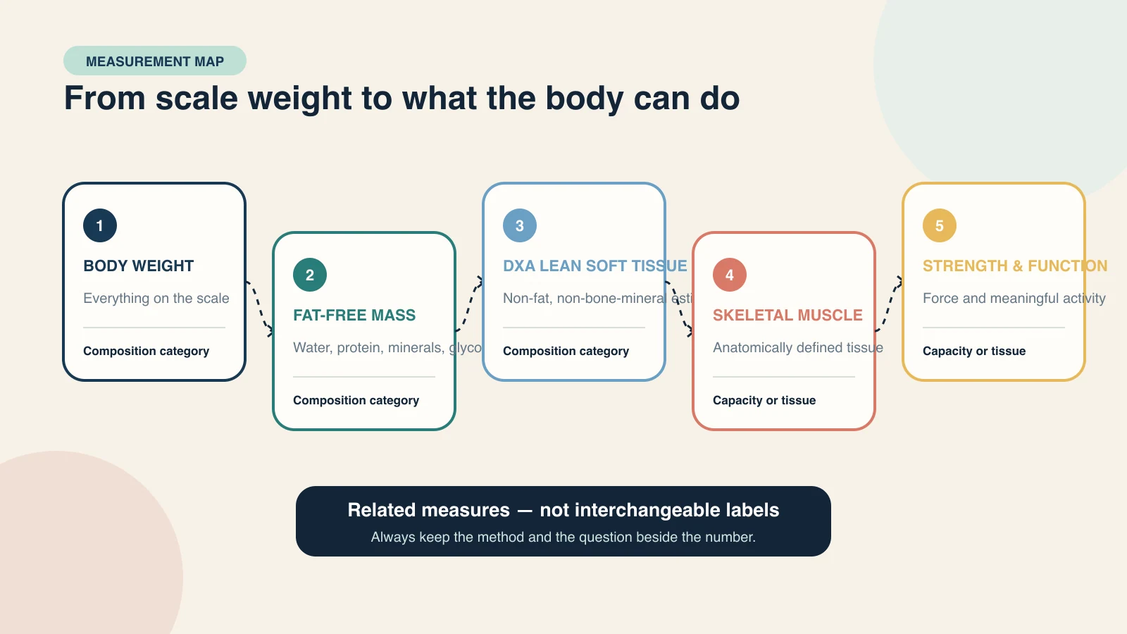 Measurement ladder from body weight to fat-free mass, skeletal muscle, strength, and physical function